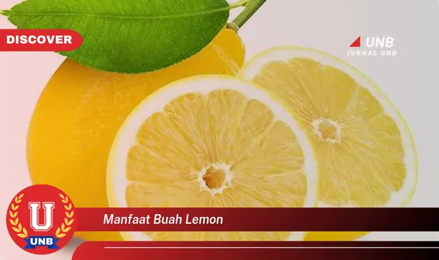 manfaat buah lemon manfaat buah lemon