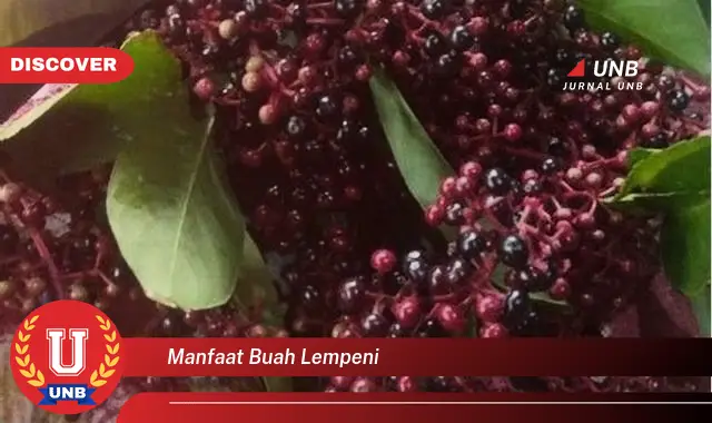 manfaat buah lempeni