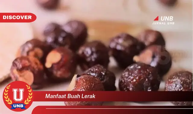 manfaat buah lerak