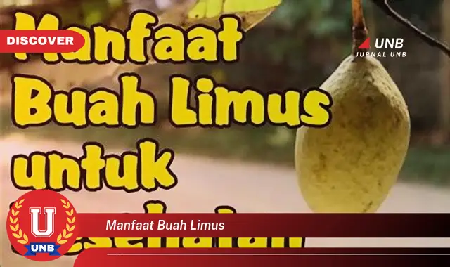 manfaat buah limus