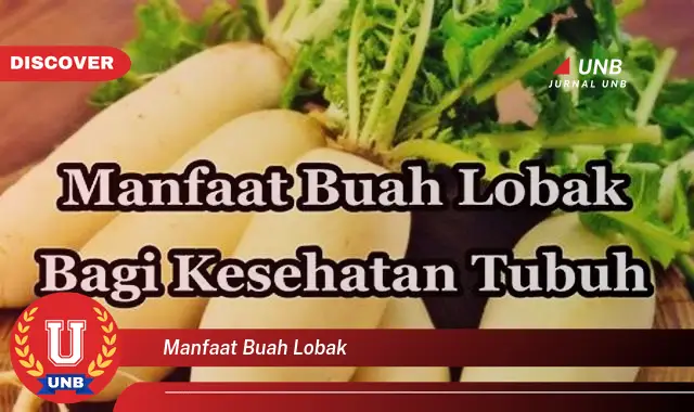 manfaat buah lobak