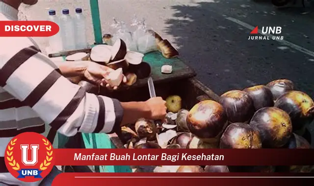 manfaat buah lontar bagi kesehatan