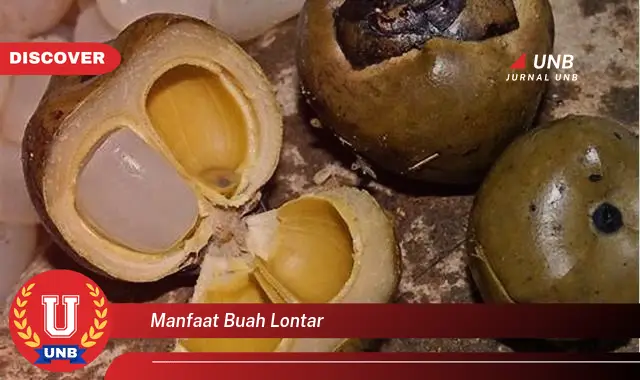 manfaat buah lontar