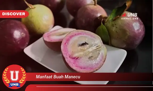 manfaat buah manecu