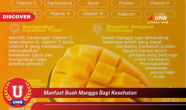 manfaat buah mangga bagi kesehatan