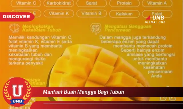 manfaat buah mangga bagi tubuh