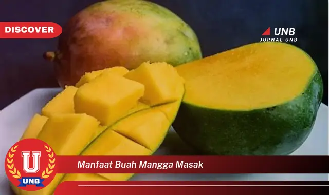 manfaat buah mangga masak