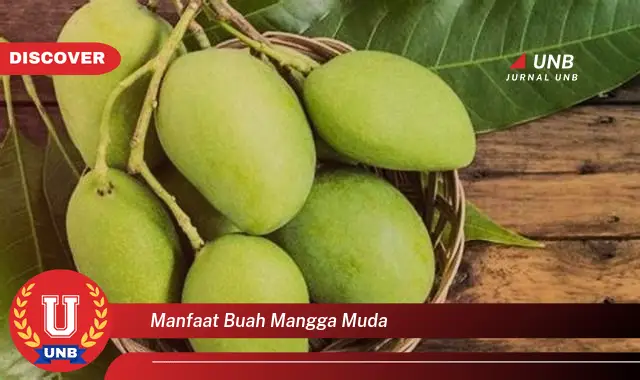 manfaat buah mangga muda manfaat buah mangga muda