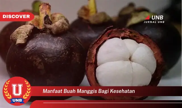 manfaat buah manggis bagi kesehatan manfaat buah manggis bagi kesehatan