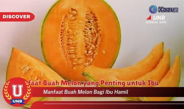 manfaat buah melon bagi ibu hamil