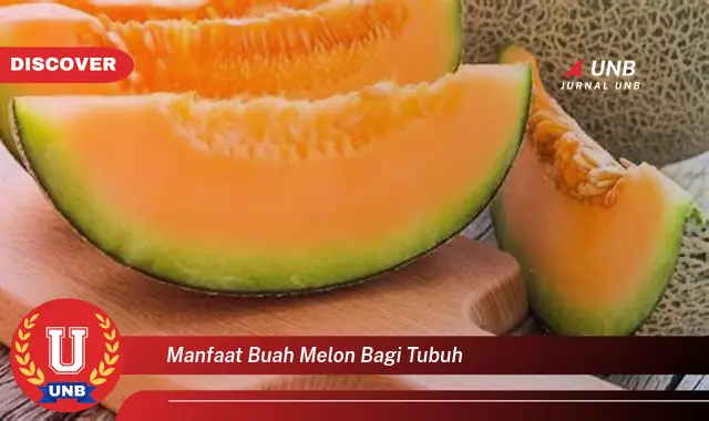 manfaat buah melon bagi tubuh