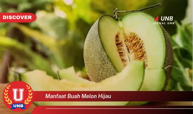 manfaat buah melon hijau