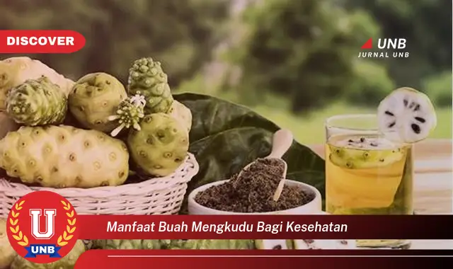 manfaat buah mengkudu bagi kesehatan