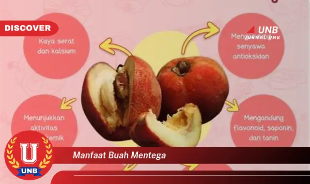 manfaat buah mentega