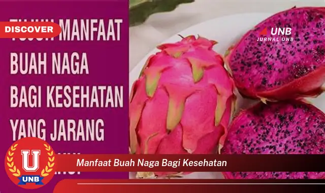 manfaat buah naga bagi kesehatan manfaat buah naga bagi kesehatan