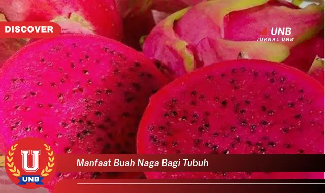 manfaat buah naga bagi tubuh