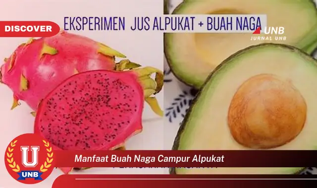 manfaat buah naga campur alpukat