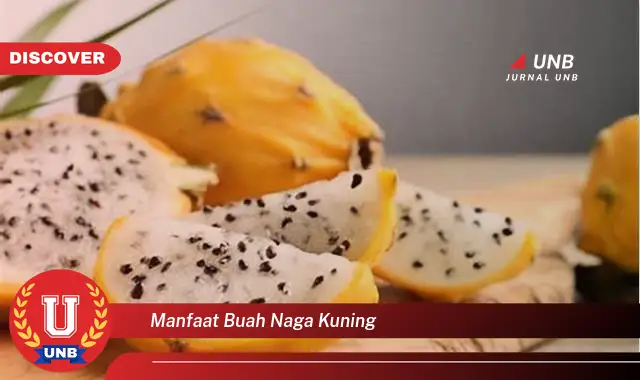 manfaat buah naga kuning