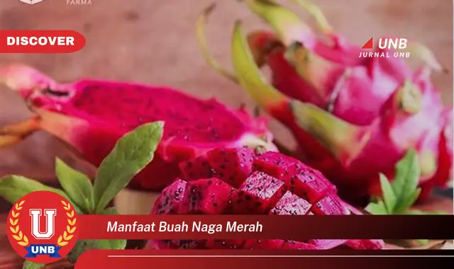 manfaat buah naga merah