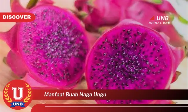 manfaat buah naga ungu