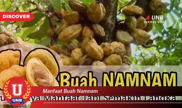 manfaat buah namnam