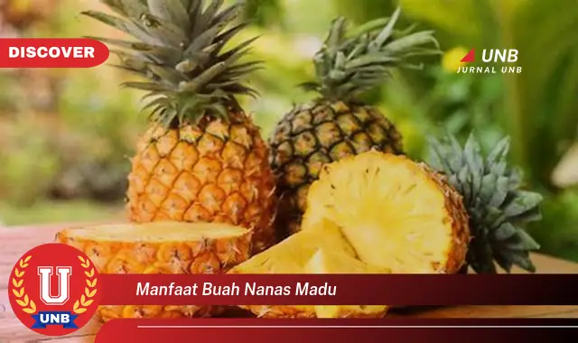 manfaat buah nanas madu