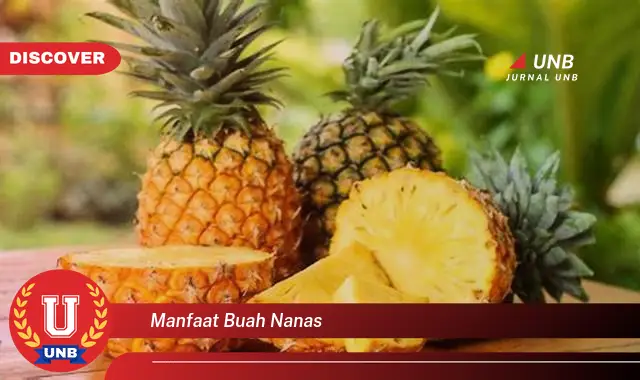 manfaat buah nanas