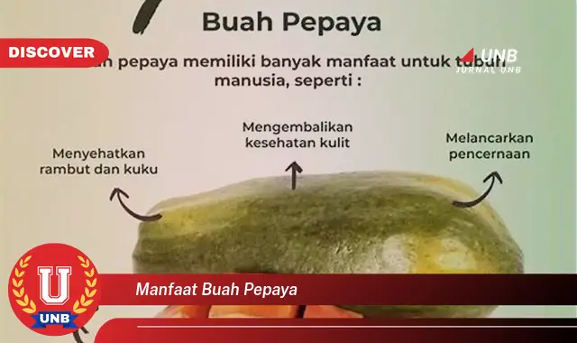 manfaat buah pepaya