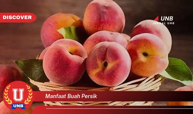 manfaat buah persik manfaat buah persik
