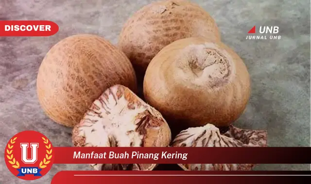 manfaat buah pinang kering