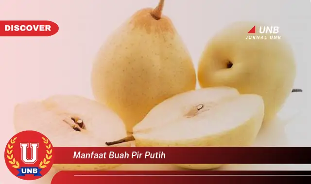 manfaat buah pir putih