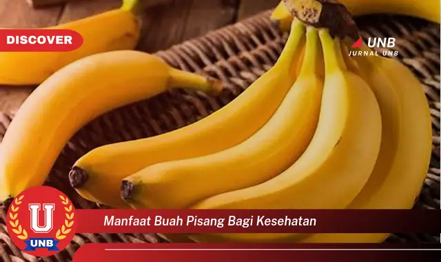 manfaat buah pisang bagi kesehatan