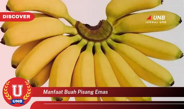 manfaat buah pisang emas