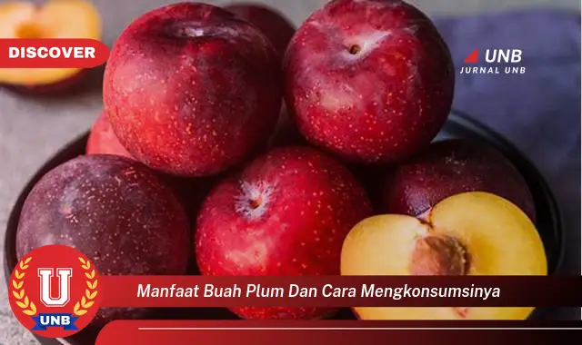 manfaat buah plum dan cara mengkonsumsinya