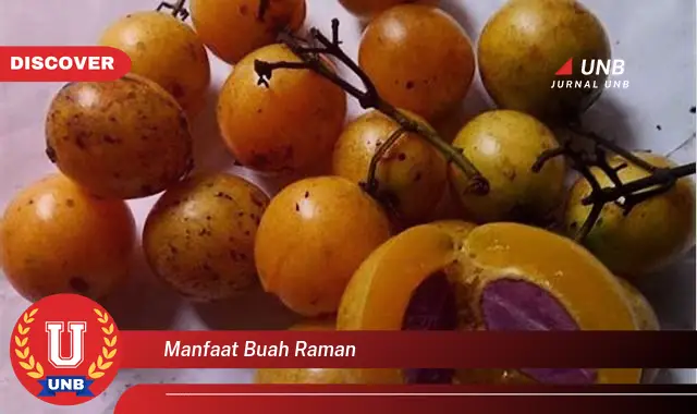 manfaat buah raman