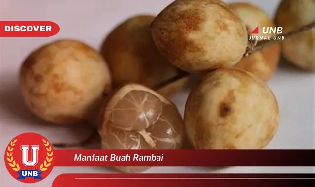 manfaat buah rambai manfaat buah rambai