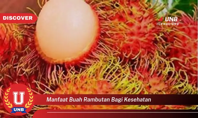 manfaat buah rambutan bagi kesehatan