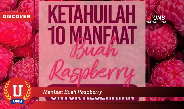 manfaat buah raspberry