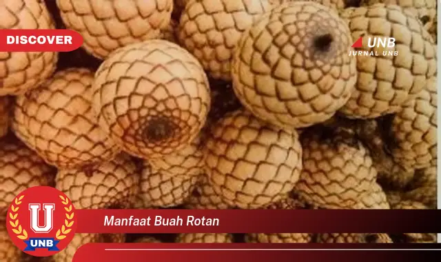 manfaat buah rotan