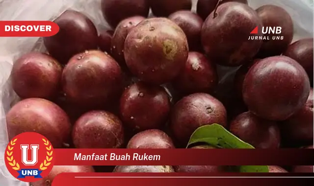 manfaat buah rukem