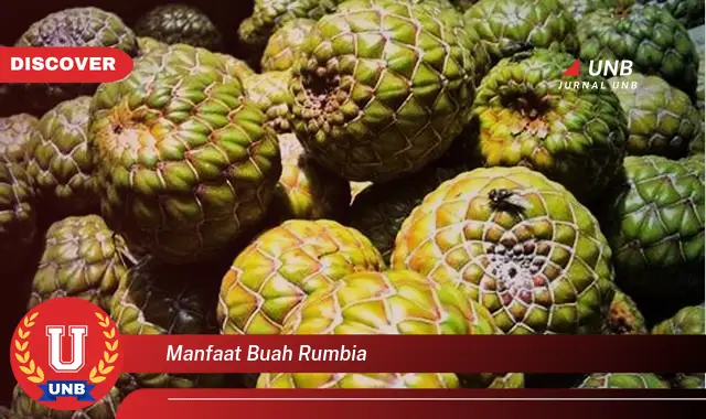 manfaat buah rumbia