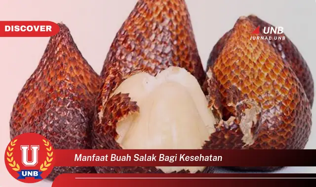 manfaat buah salak bagi kesehatan manfaat buah salak bagi kesehatan