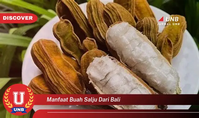 manfaat buah salju dari bali