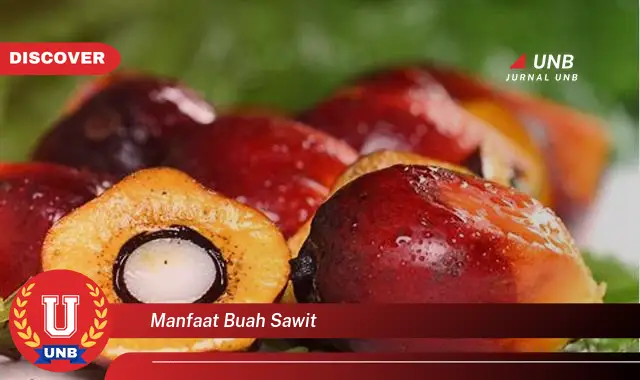 manfaat buah sawit