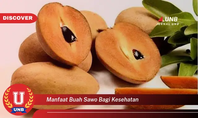 manfaat buah sawo bagi kesehatan