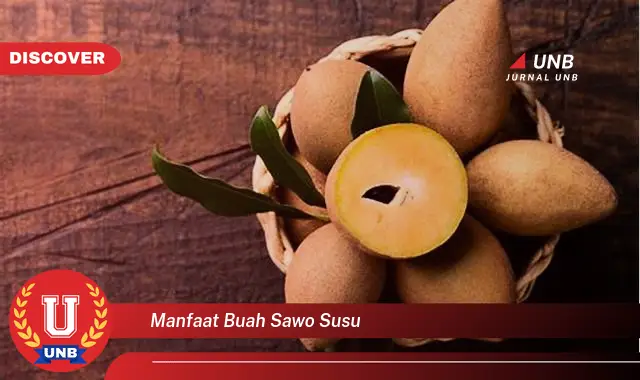 manfaat buah sawo susu