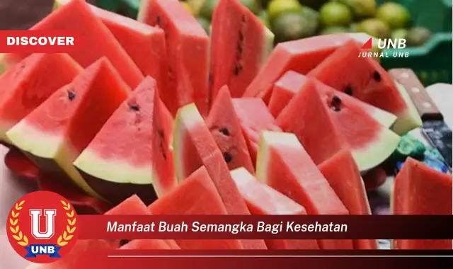 manfaat buah semangka bagi kesehatan