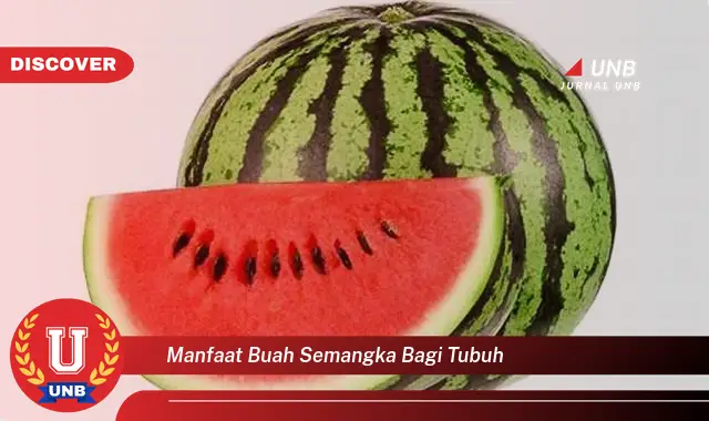 manfaat buah semangka bagi tubuh