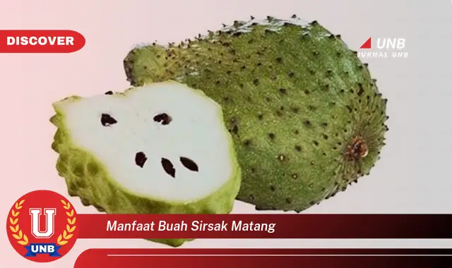manfaat buah sirsak matang