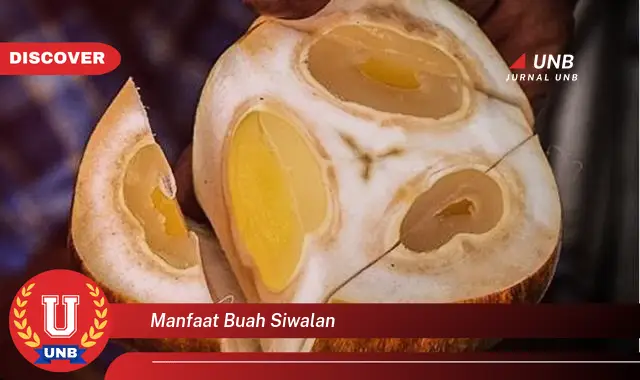 manfaat buah siwalan